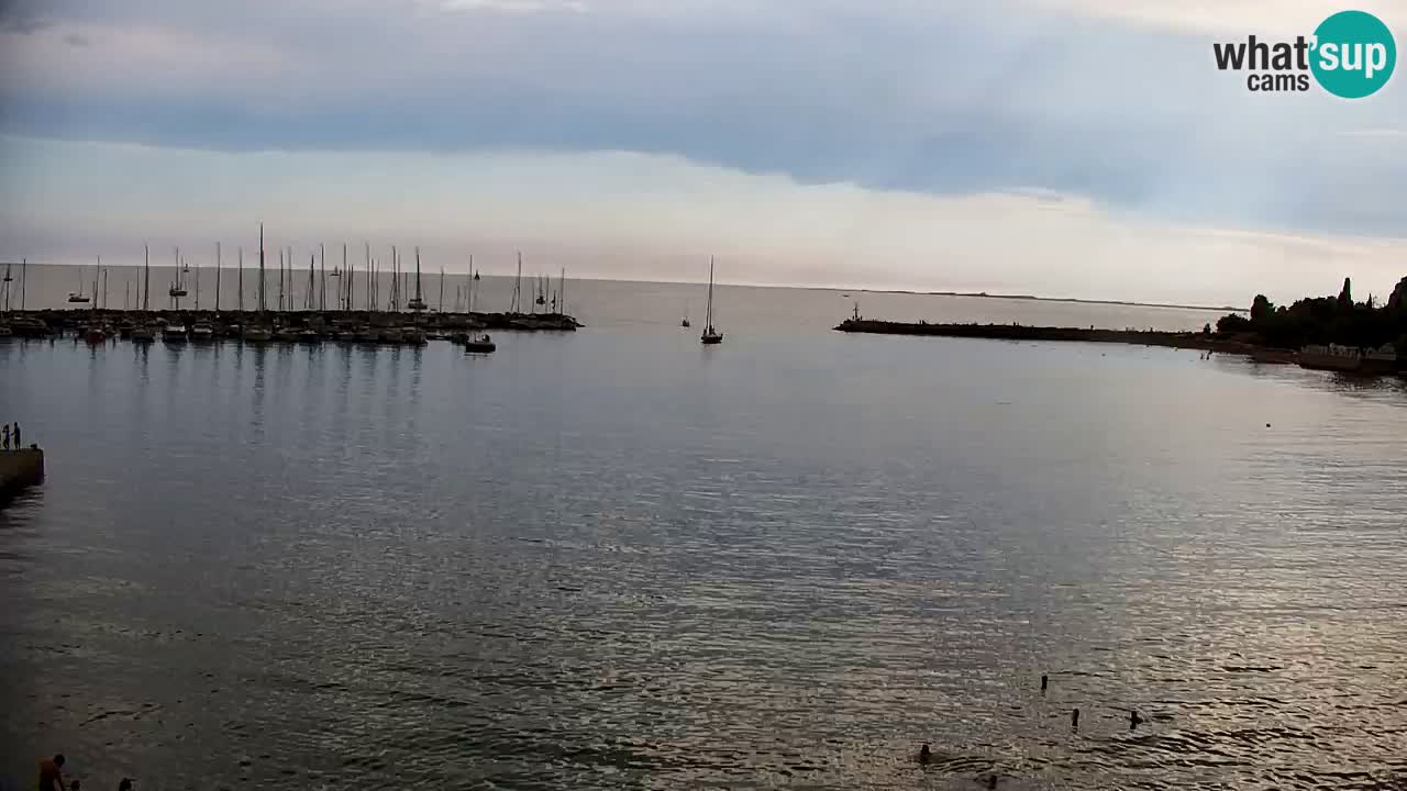 Web kamera Sistiana Uvala – Pogled uživo na marinu i zaljev