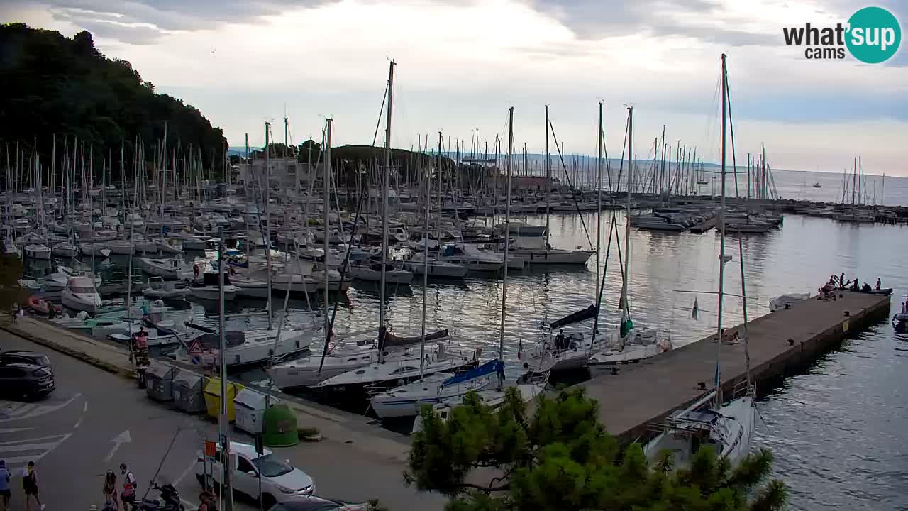 Spletna kamera Sesljanski zaliv – Pogled v živo na marino in zaliv