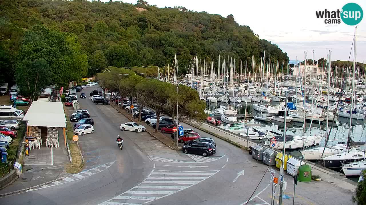 Webcam Bahía de Sistiana – Vista en directo del puerto deportivo y la costa