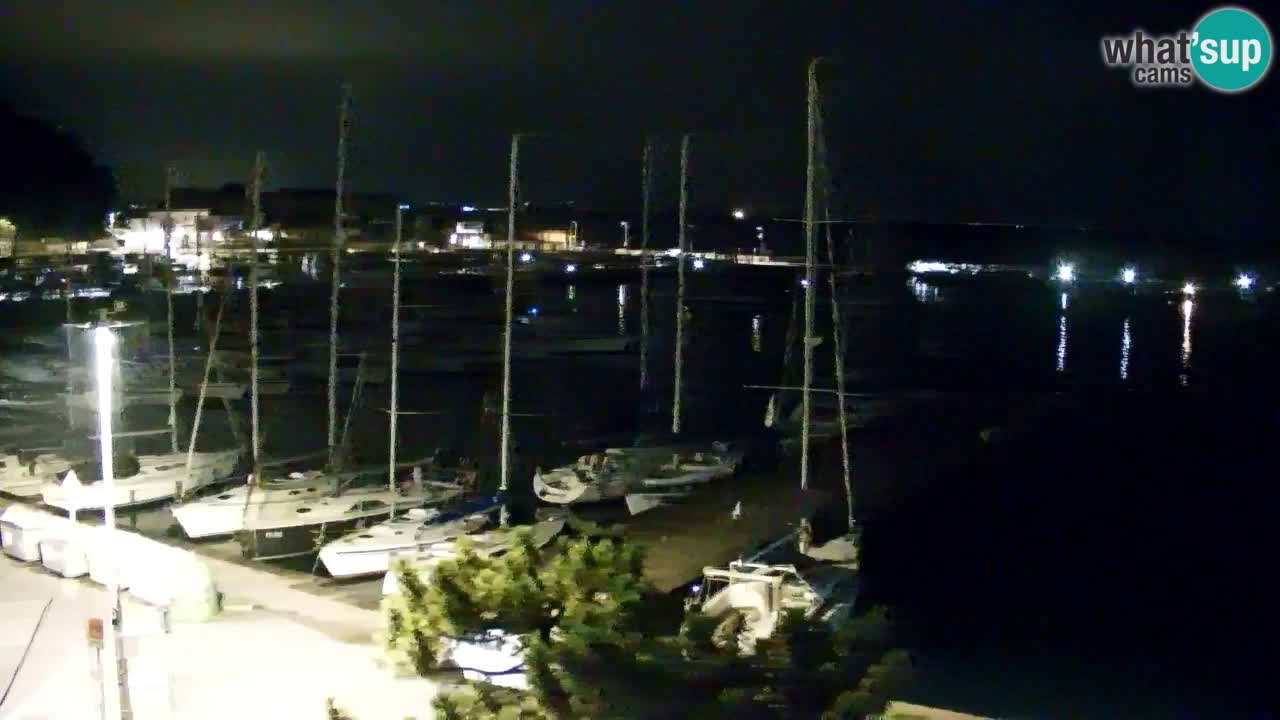 Webcam Sistiana Baia – Live View of the Marina and Gulf