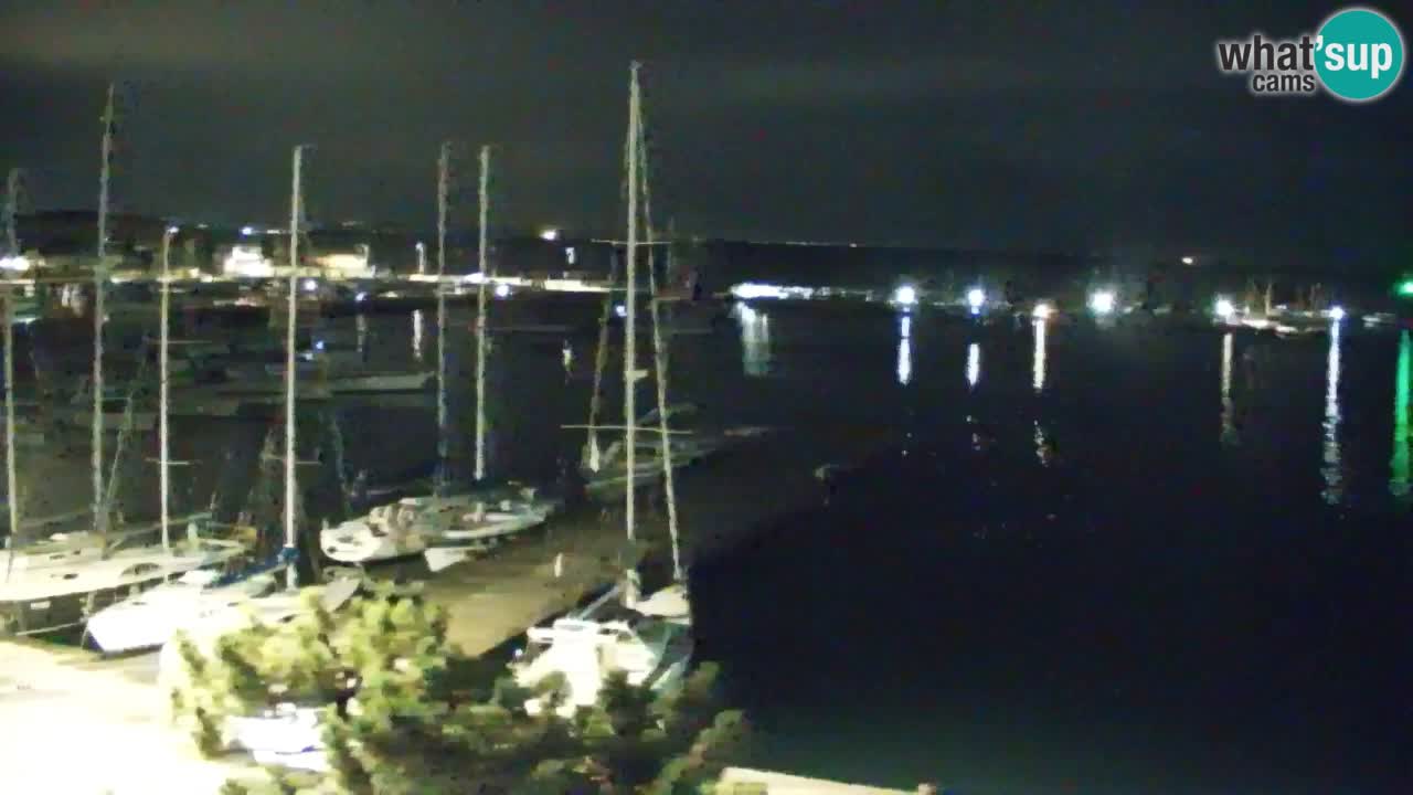 Webcam Bahía de Sistiana – Vista en directo del puerto deportivo y la costa