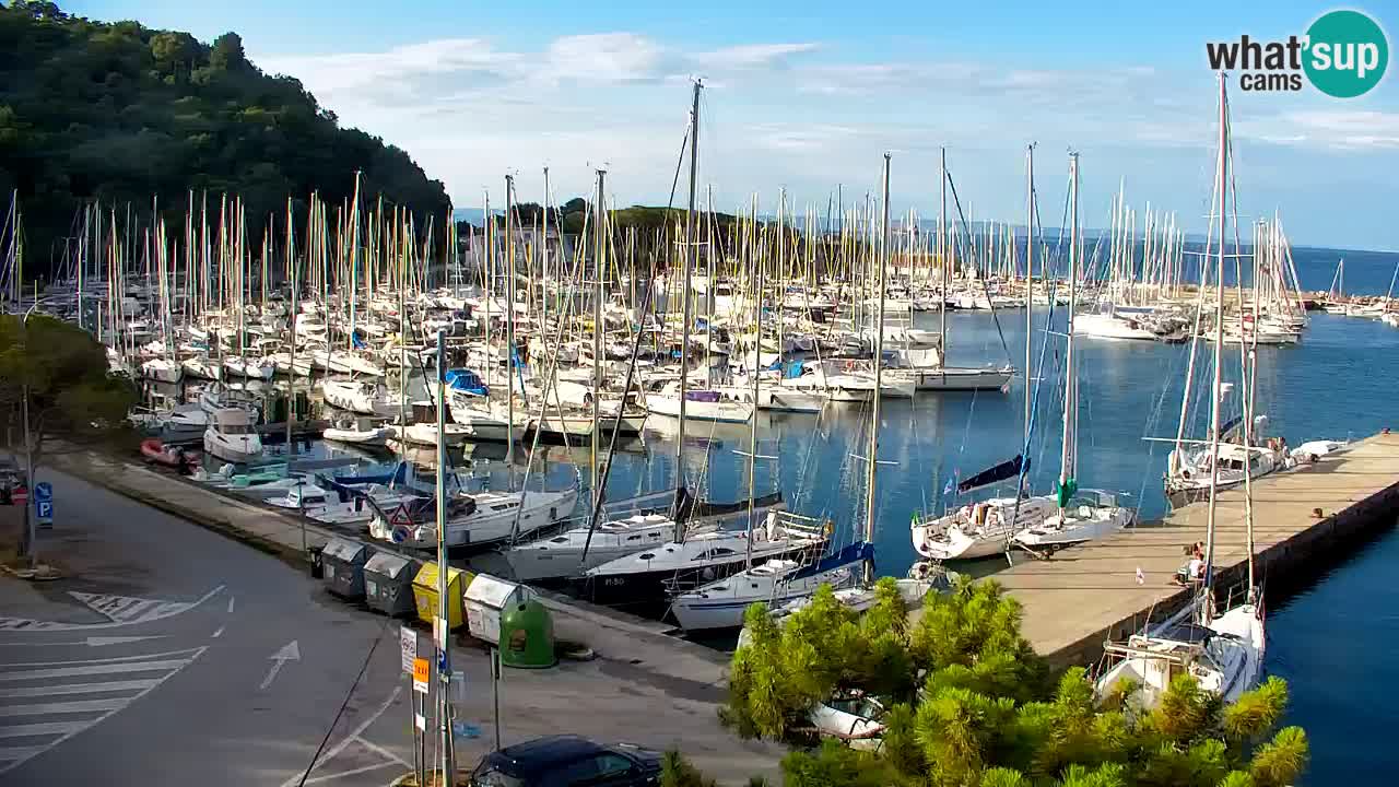 Webcam Sistiana Baia – Live View of the Marina and Gulf