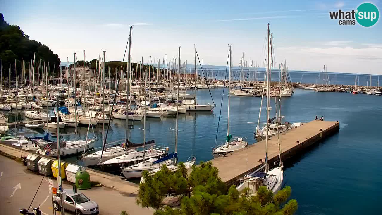 Webcam Sistiana Baia – Live View of the Marina and Gulf