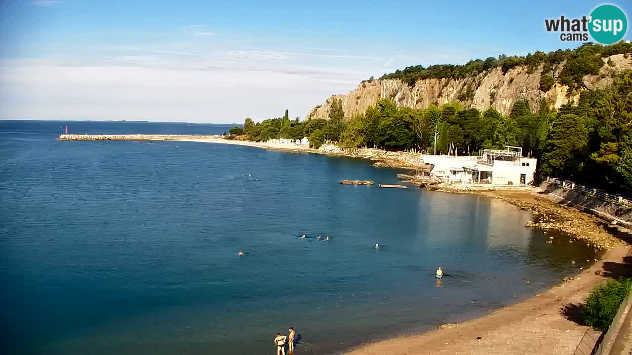 Webcam Sistiana Baia – Live View of the Marina and Gulf
