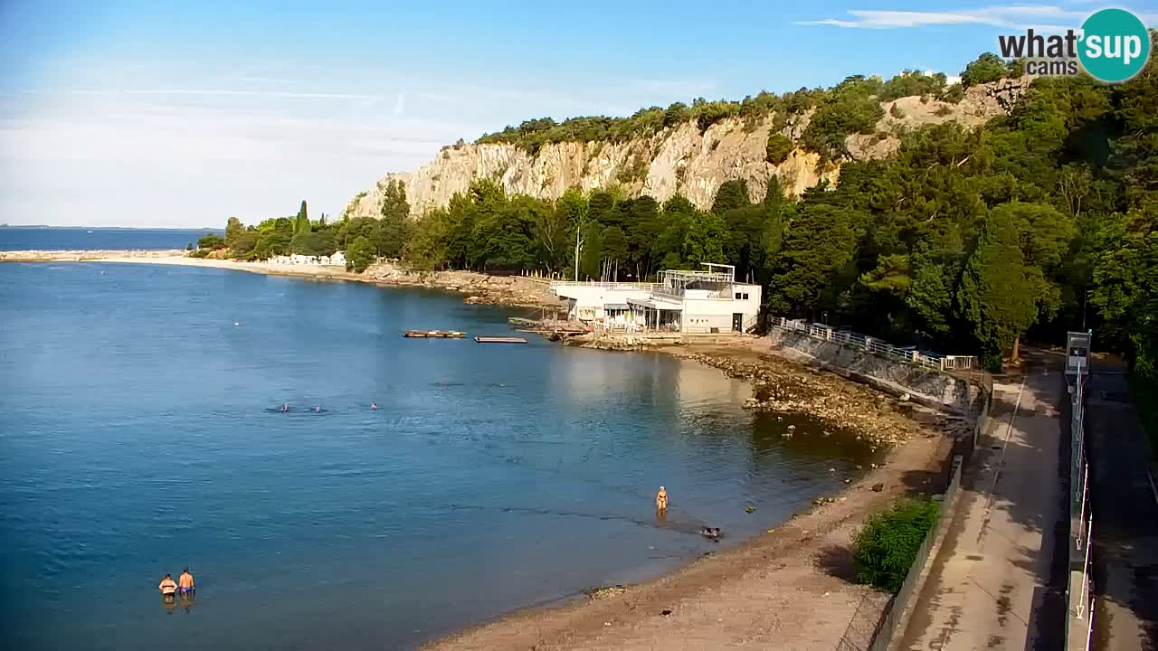 Webcam Sistiana Baia – Live View of the Marina and Gulf