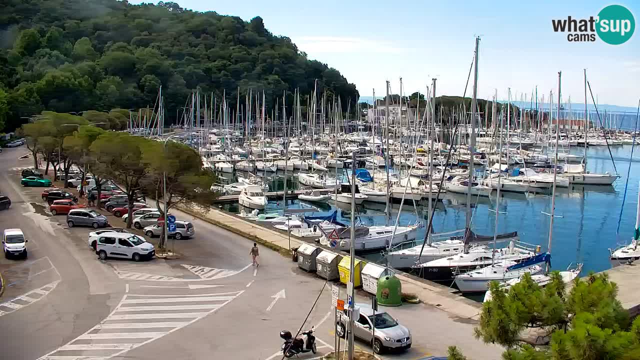 Webcam Sistiana Baia – Live View of the Marina and Gulf