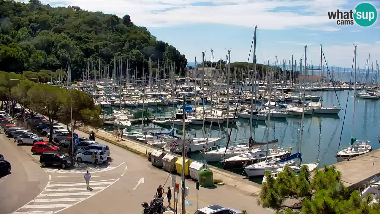 Webcam Sistiana Baia – Live View of the Marina and Gulf