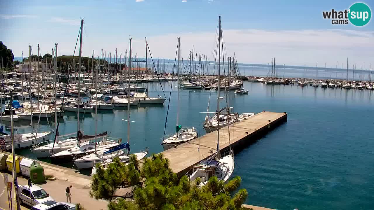 Webcam Sistiana Baia – Live View of the Marina and Gulf
