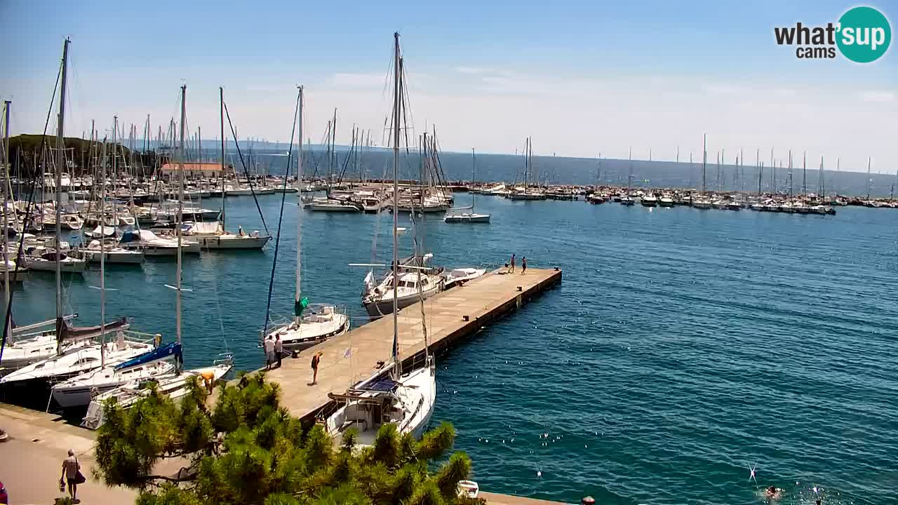 Webcam Sistiana Baia – Live View of the Marina and Gulf