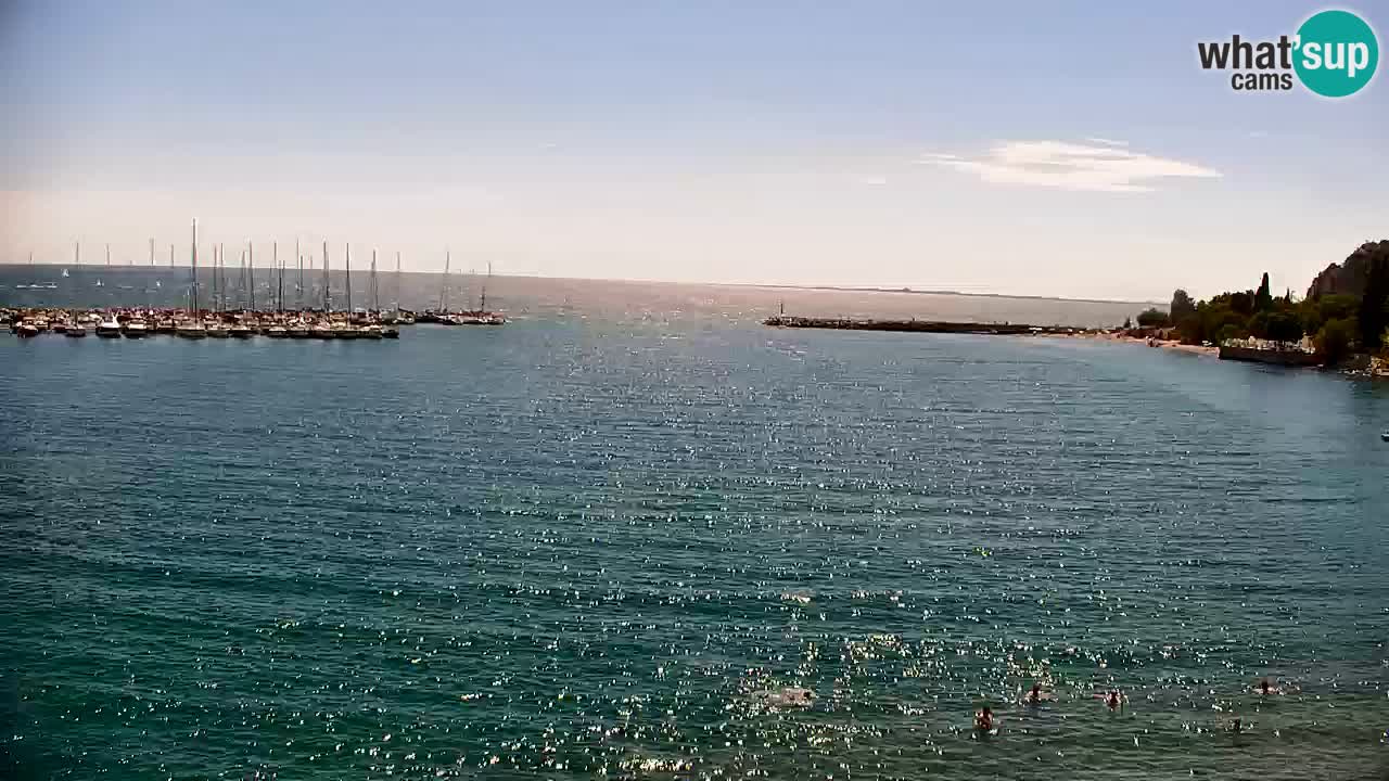 Spletna kamera Sesljanski zaliv – Pogled v živo na marino in zaliv