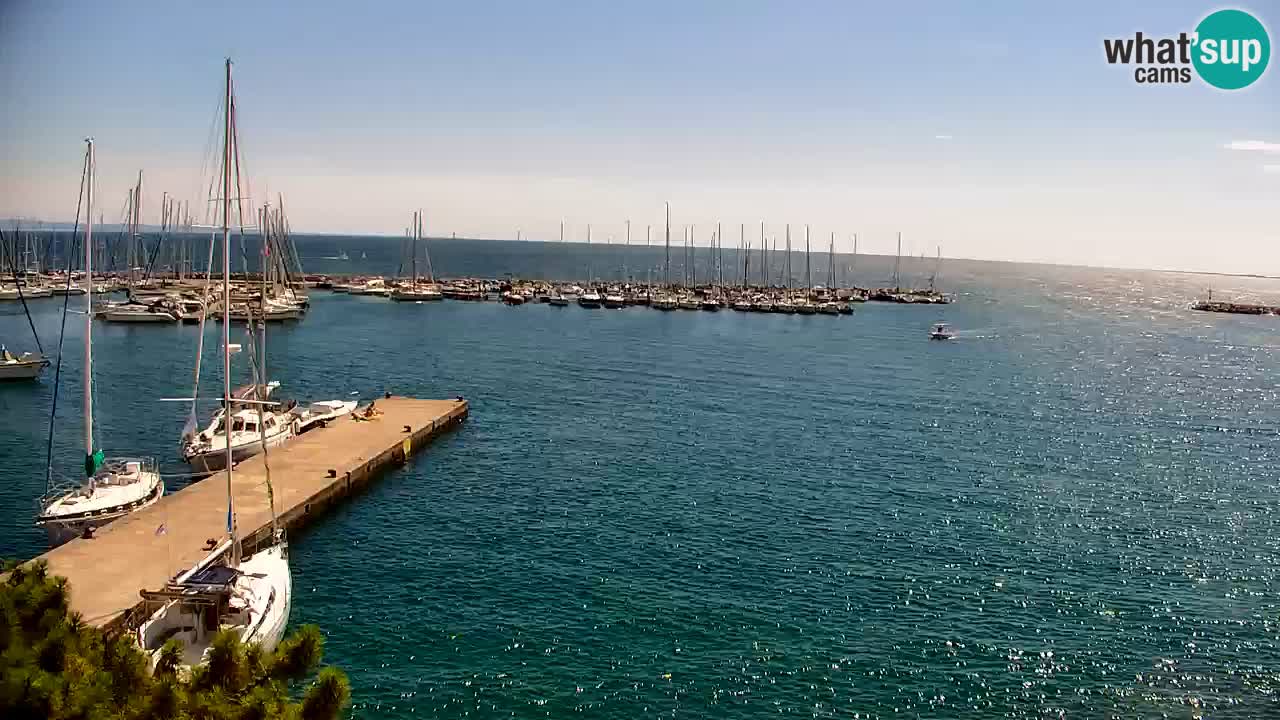 Webcam Sistiana Baia – Live View of the Marina and Gulf