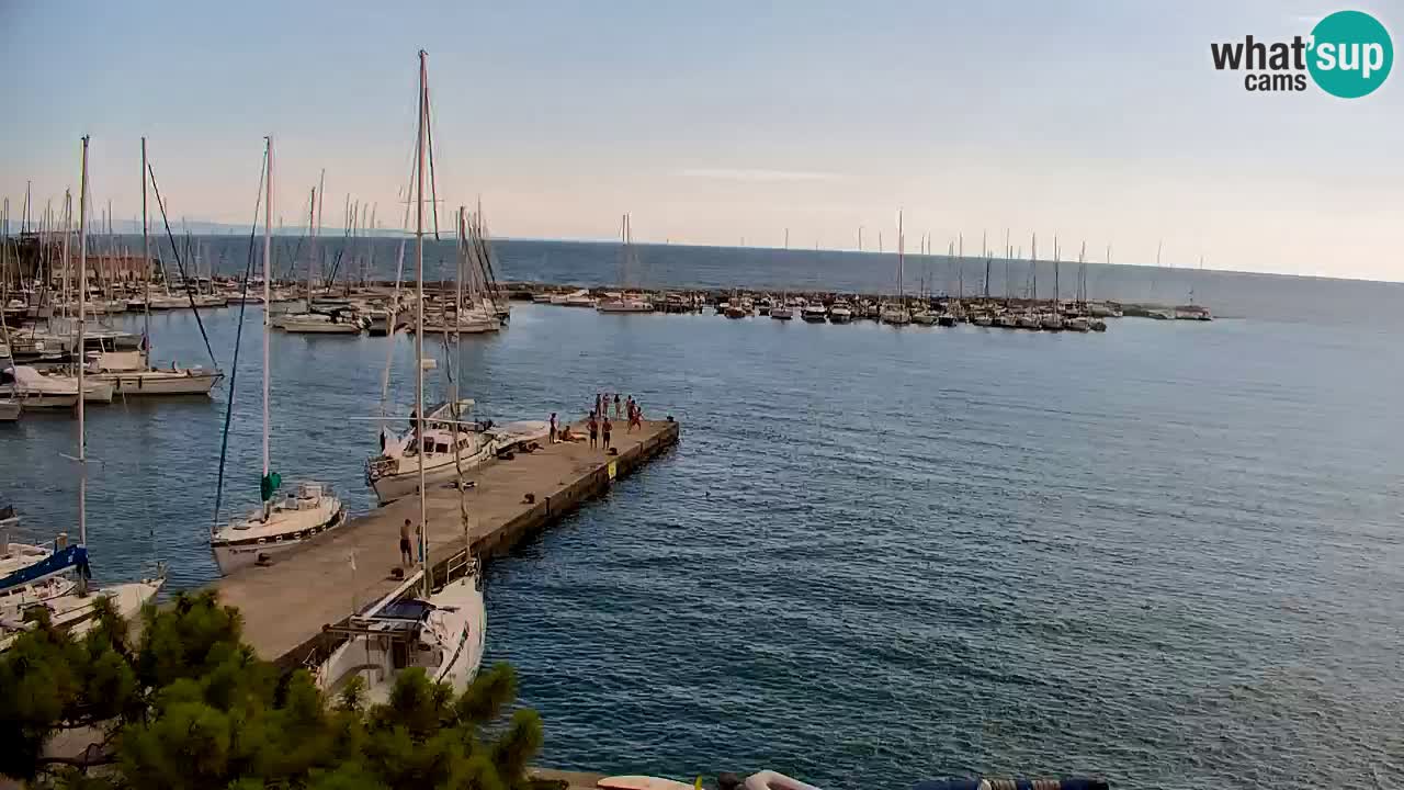 Webcam Sistiana Baia – Live View of the Marina and Gulf