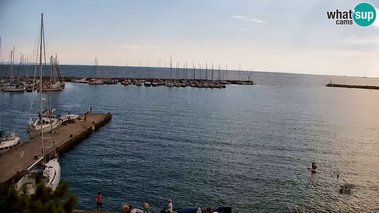 Webcam Sistiana Baia – Live View of the Marina and Gulf