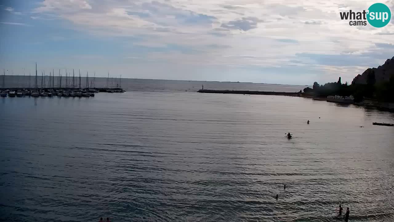 Webcam Sistiana Baia – Live View of the Marina and Gulf