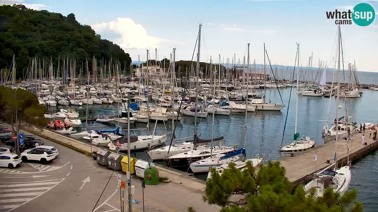Webcam Sistiana Baia – Live View of the Marina and Gulf