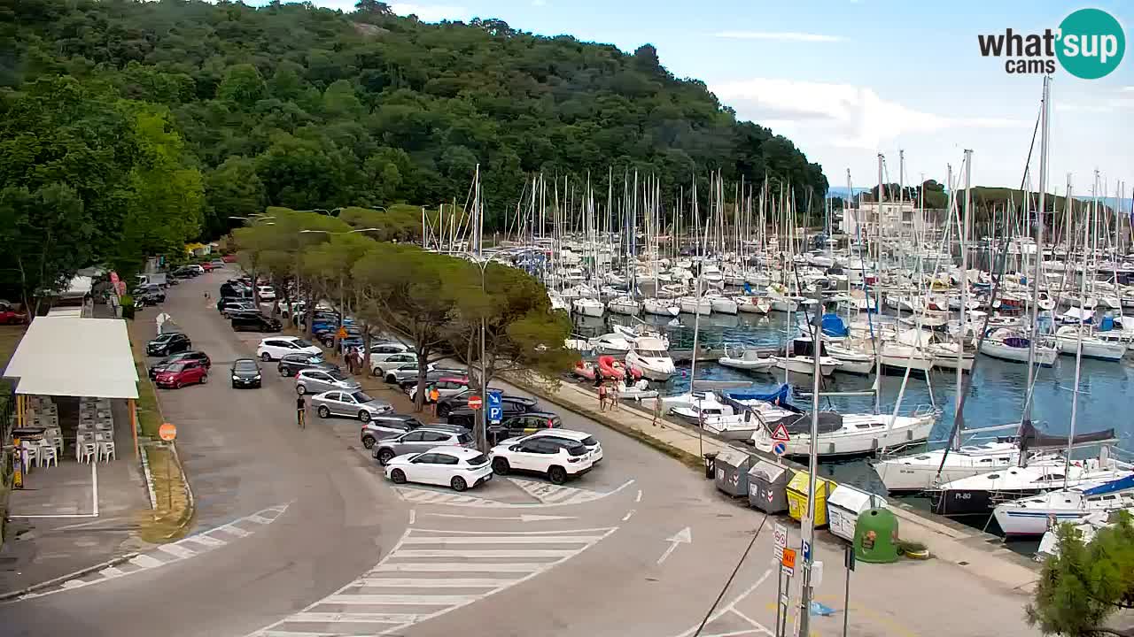 Webcam Sistiana Baia – Live View of the Marina and Gulf