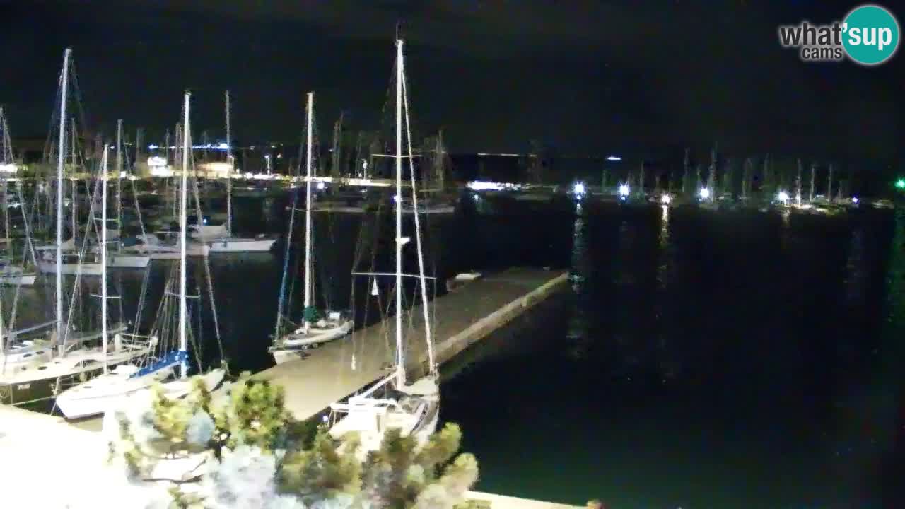 Web kamera Sistiana Uvala – Pogled uživo na marinu i zaljev