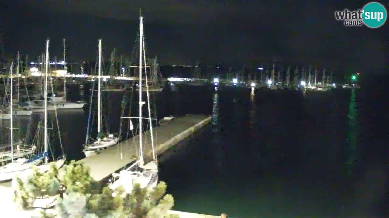 Webcam Bahía de Sistiana – Vista en directo del puerto deportivo y la costa
