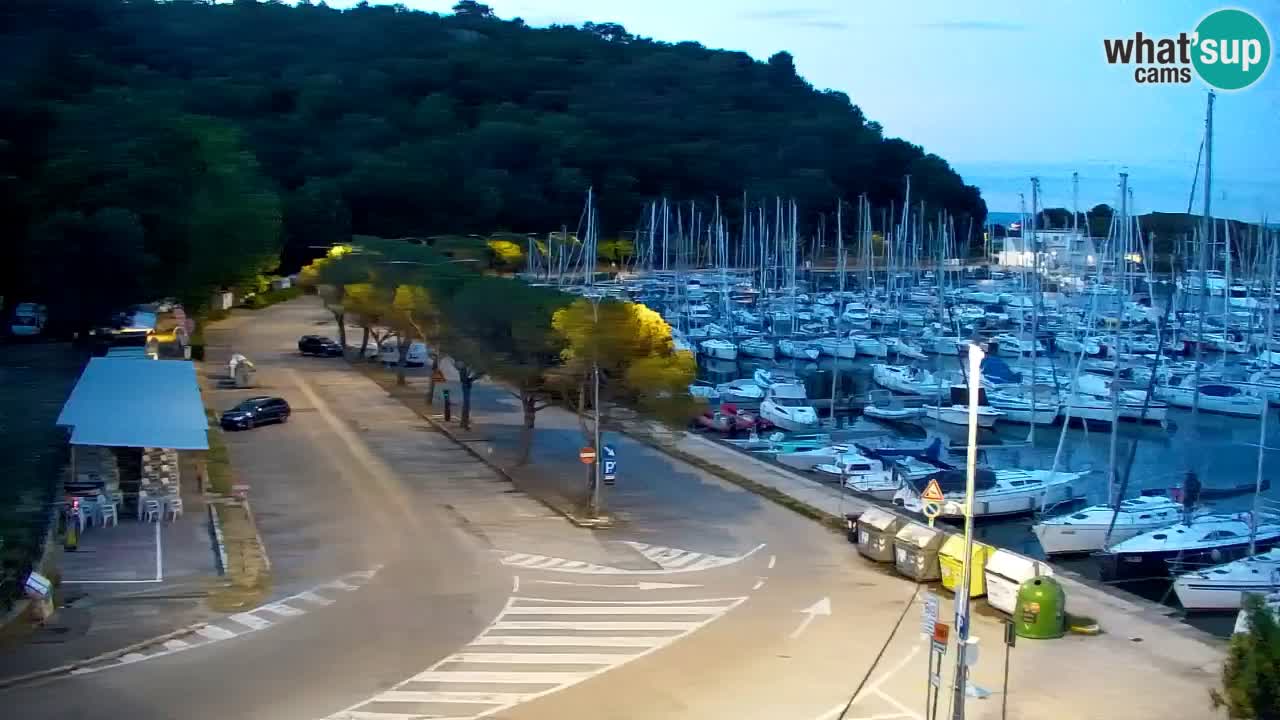 Webcam Bahía de Sistiana – Vista en directo del puerto deportivo y la costa