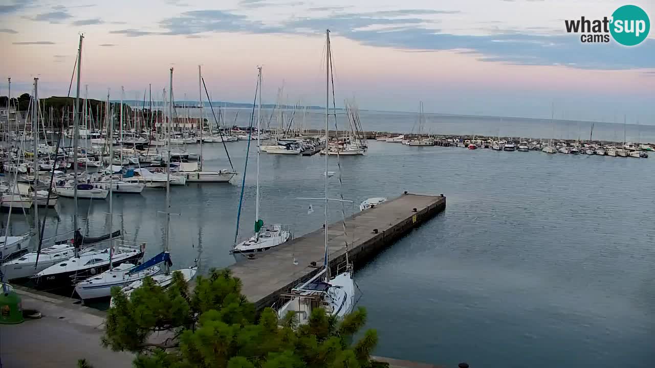 Webcam Sistiana Bucht – Liveblick auf Marina und Bucht