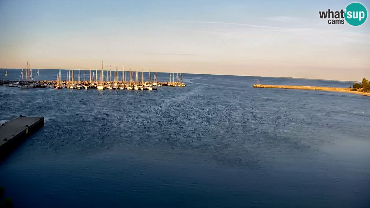 Webcam Sistiana Baia – Live View of the Marina and Gulf