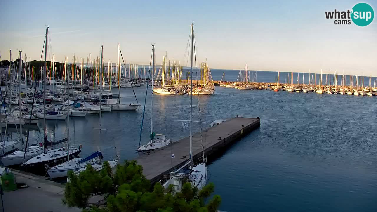 Webcam Bahía de Sistiana – Vista en directo del puerto deportivo y la costa