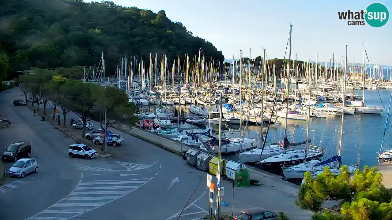 Webcam Bahía de Sistiana – Vista en directo del puerto deportivo y la costa