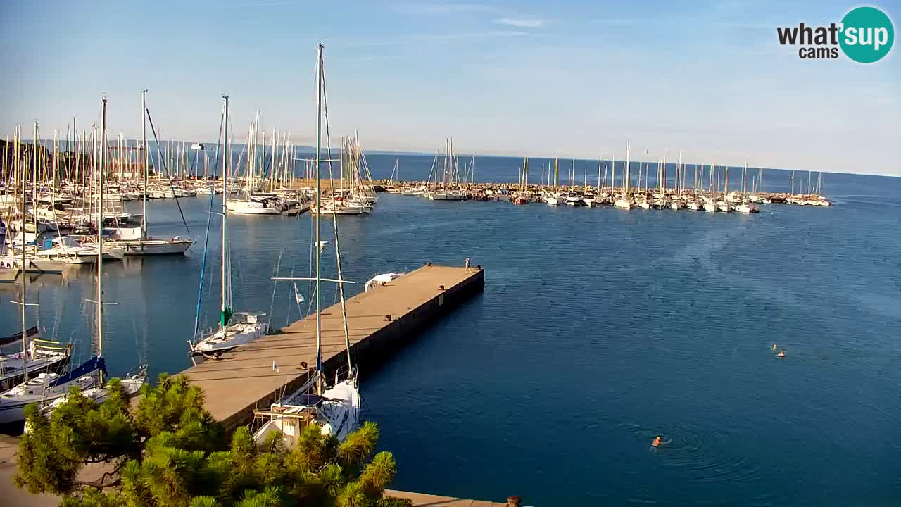 Webcam Sistiana Baia – Live View of the Marina and Gulf