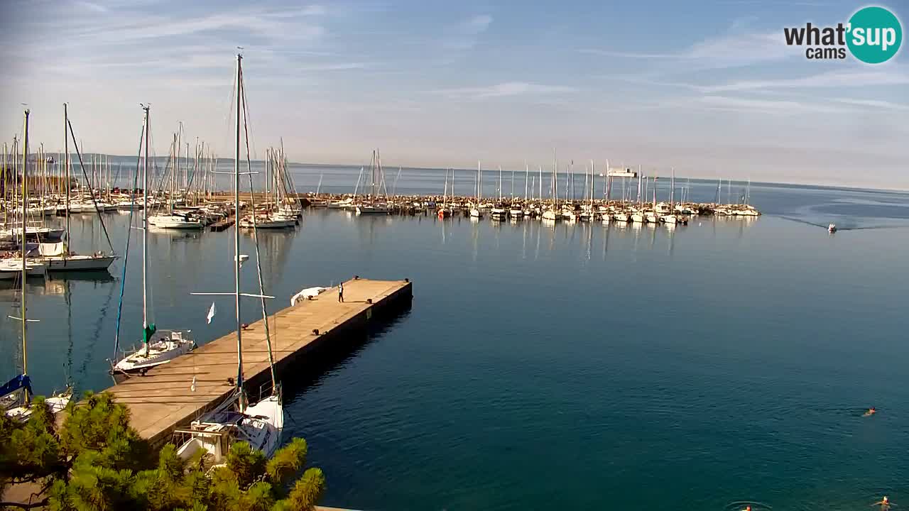 Webcam Bahía de Sistiana – Vista en directo del puerto deportivo y la costa