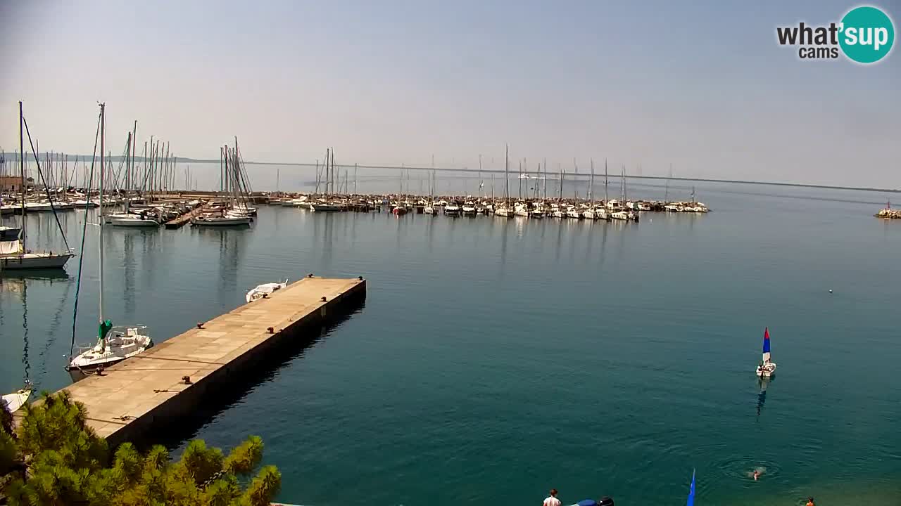 Webcam Baie de Sistiana – Vue en direct de la marina et de la baie