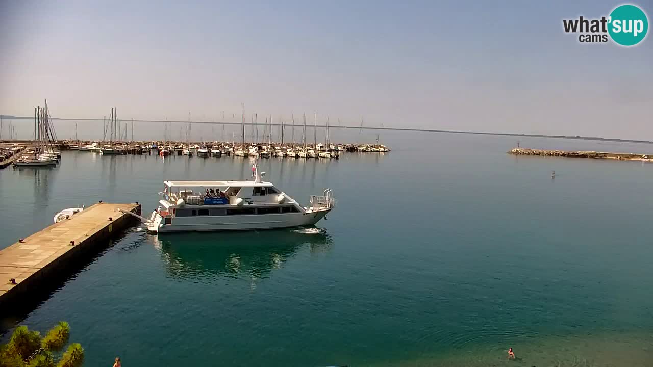 Webcam Baia di Sistiana – Marina e Golfo in diretta