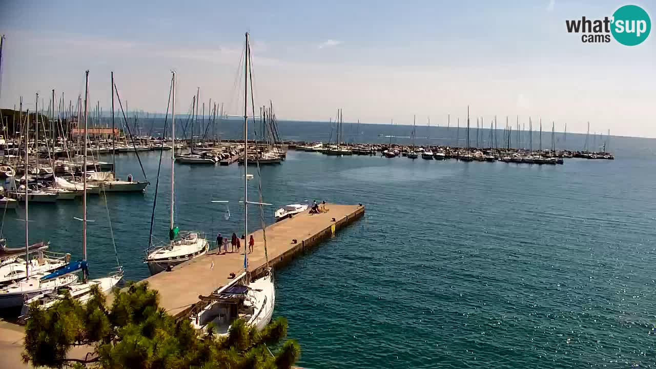 Web kamera Sistiana Uvala – Pogled uživo na marinu i zaljev