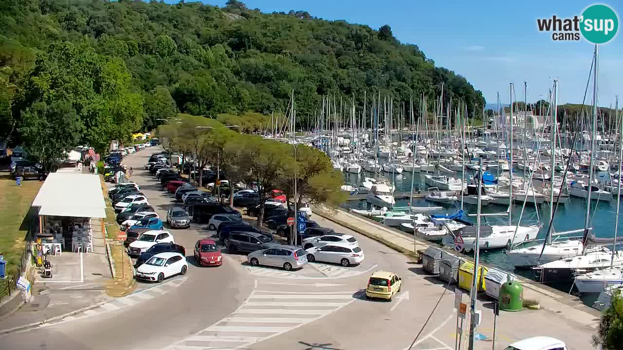 Webcam Sistiana Baia – Live View of the Marina and Gulf
