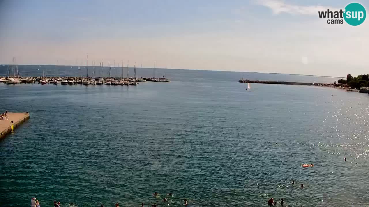 Webcam Sistiana Baia – Live View of the Marina and Gulf