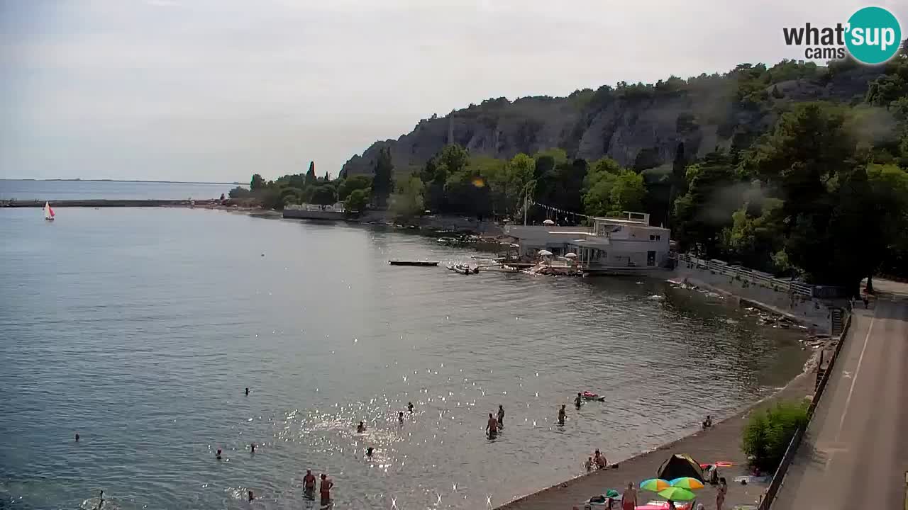 Webcam Bahía de Sistiana – Vista en directo del puerto deportivo y la costa