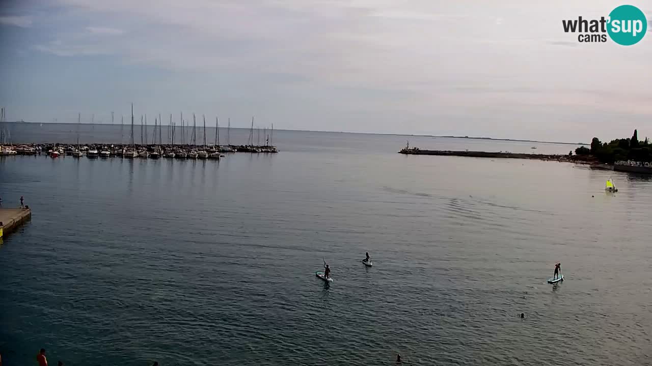 Webcam Sistiana Baia – Live View of the Marina and Gulf