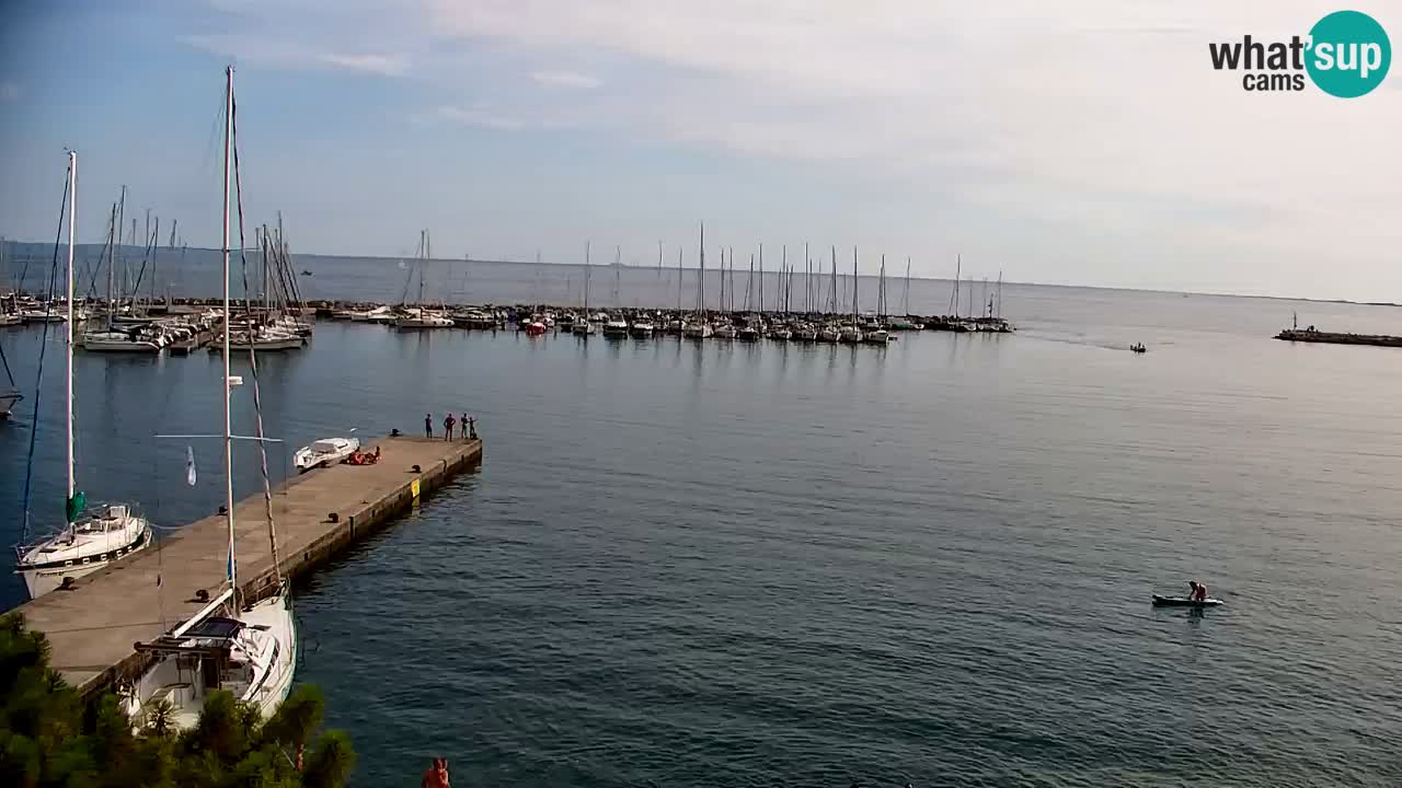 Web kamera Sistiana Uvala – Pogled uživo na marinu i zaljev