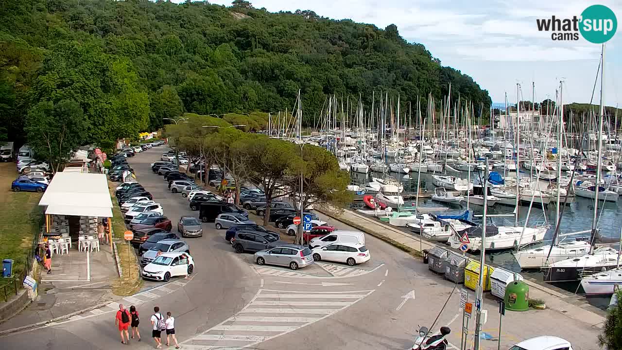 Spletna kamera Sesljanski zaliv – Pogled v živo na marino in zaliv