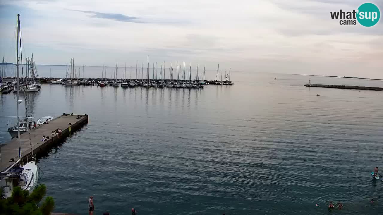 Spletna kamera Sesljanski zaliv – Pogled v živo na marino in zaliv