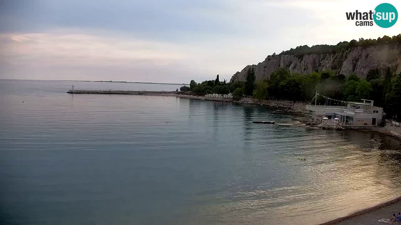 Webcam Bahía de Sistiana – Vista en directo del puerto deportivo y la costa