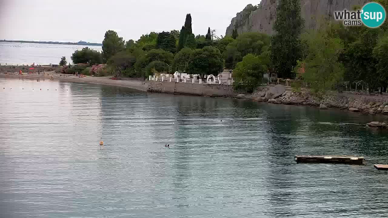 Web kamera Sistiana Uvala – Pogled uživo na marinu i zaljev
