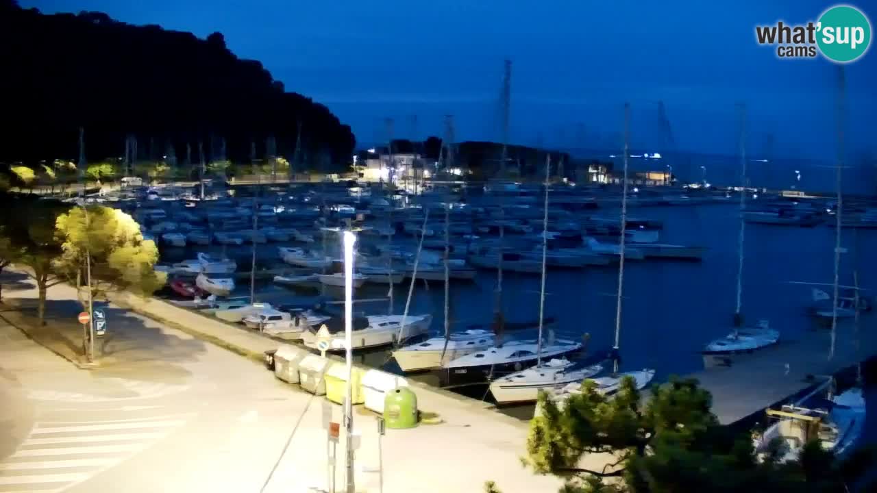 Webcam Sistiana Baia – Live View of the Marina and Gulf