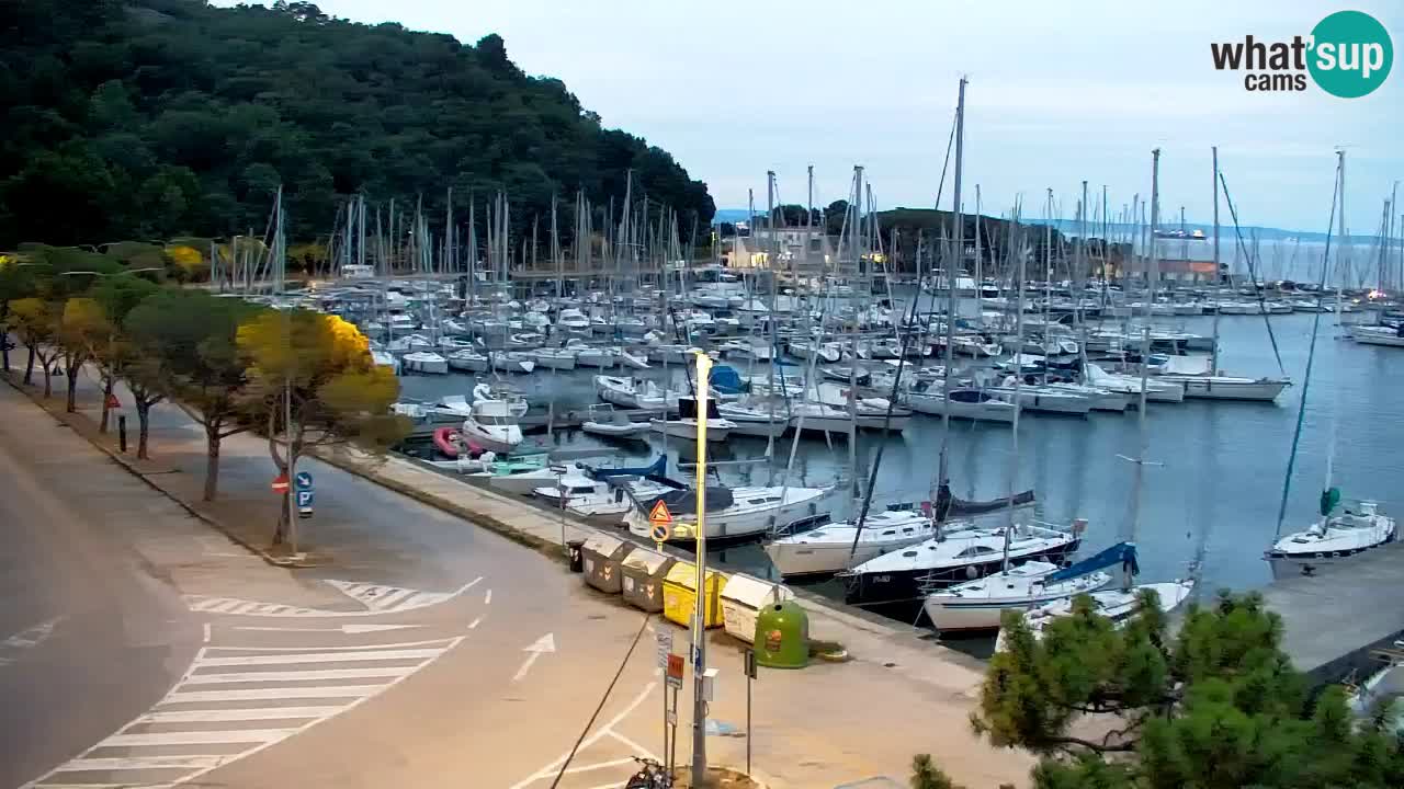 Webcam Sistiana Bucht – Liveblick auf Marina und Bucht
