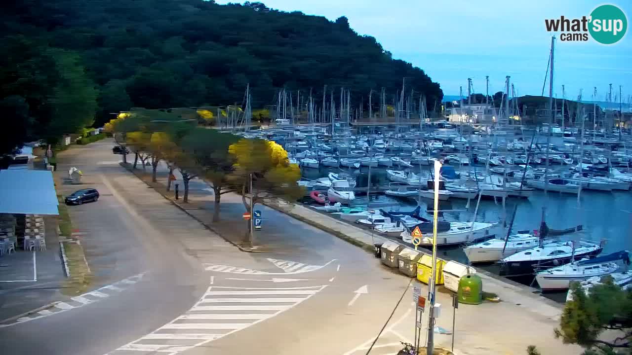 Webcam Sistiana Bucht – Liveblick auf Marina und Bucht