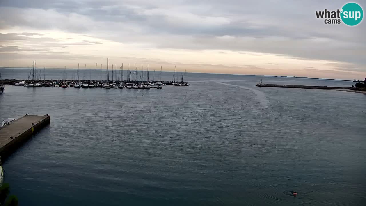 Webcam Bahía de Sistiana – Vista en directo del puerto deportivo y la costa