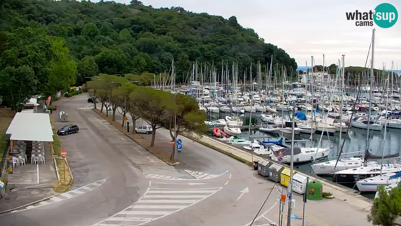 Webcam Sistiana Baia – Live View of the Marina and Gulf