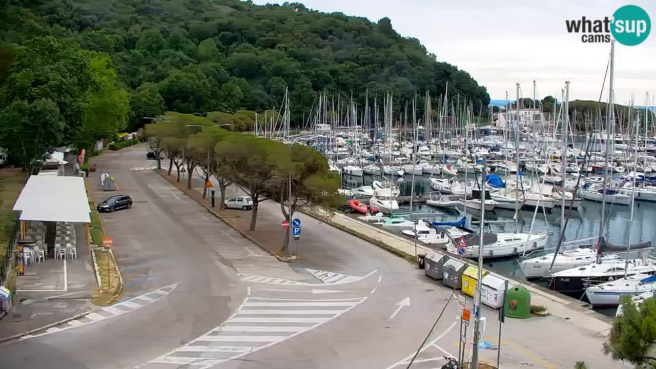 Webcam Sistiana Baia – Live View of the Marina and Gulf