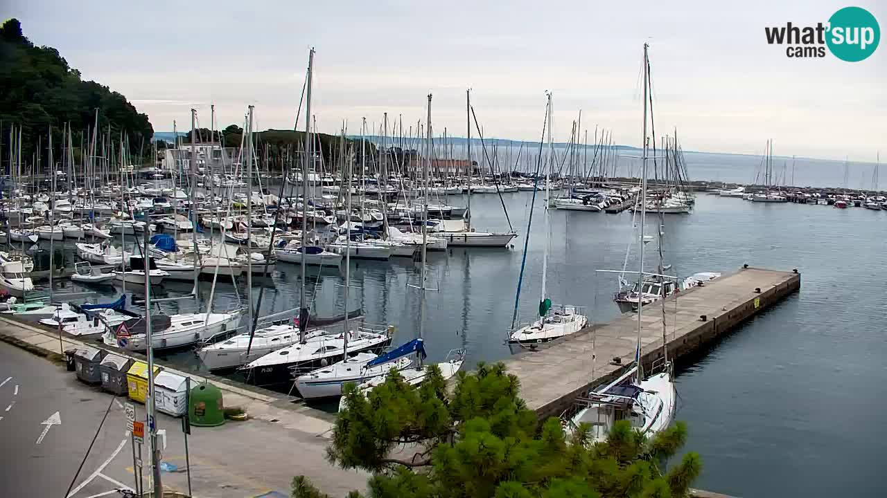 Webcam Baie de Sistiana – Vue en direct de la marina et de la baie