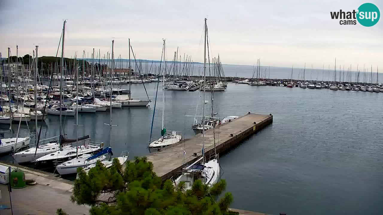 Webcam Bahía de Sistiana – Vista en directo del puerto deportivo y la costa