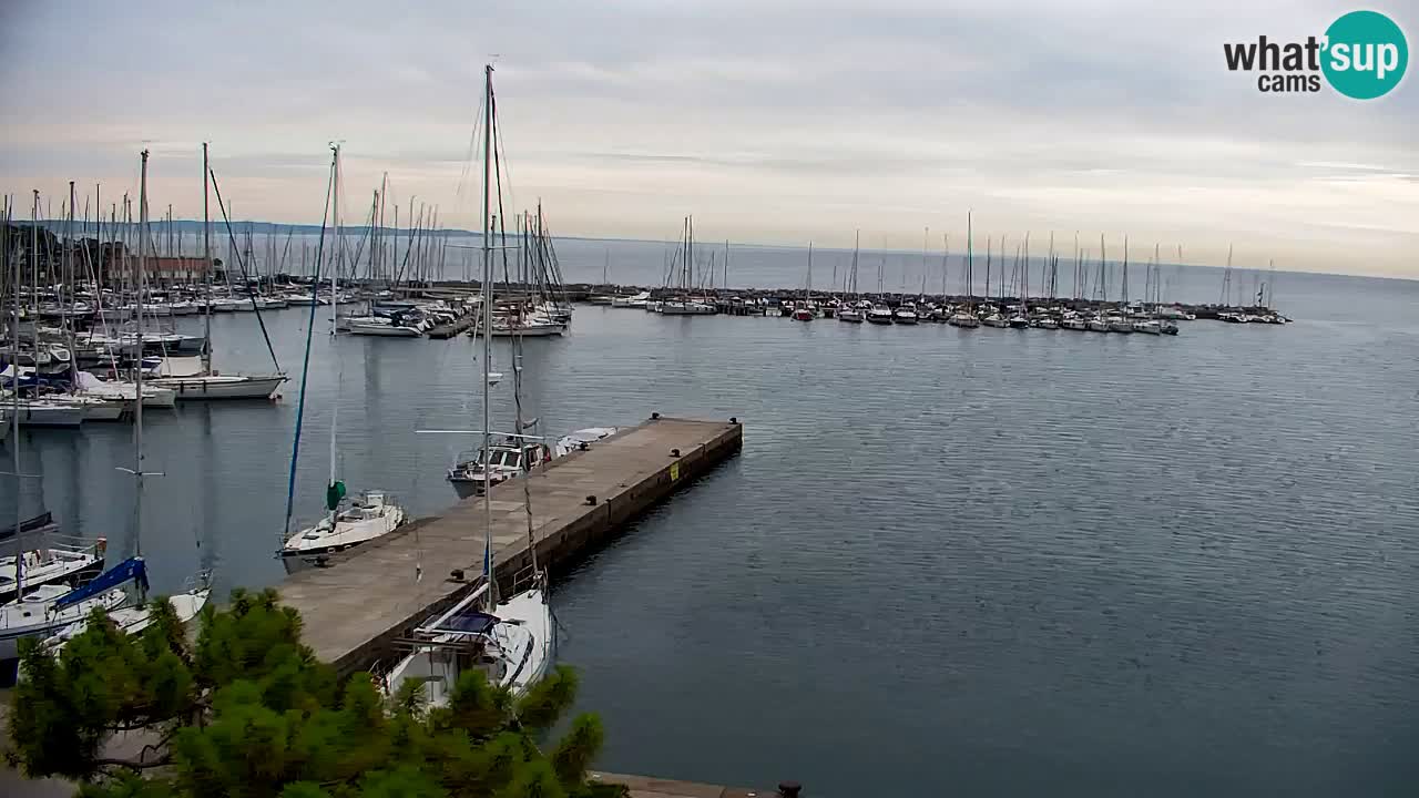 Webcam Baia di Sistiana – Marina e Golfo in diretta